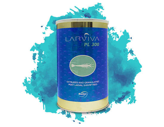 LARVIVA300